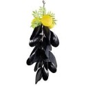 Decoración  mejillones